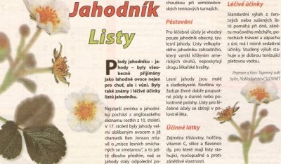 Jahodník - listy