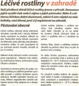 Léčivé rostliny v zahradě