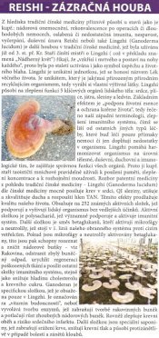 Reishi - zázračná houba