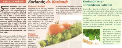 Koriandr setý - Coriandrum sativum