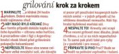 Grilování krok za krokem