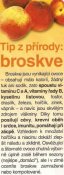 Broskve 1