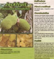 Jackfruit