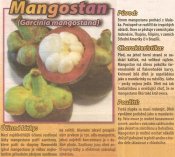 Mangostan