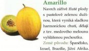 Amarillo meloun