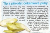 Čekankové puky