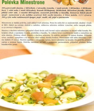 Polévka Minestrone