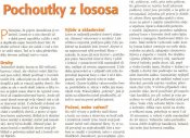 Pochoutky z lososa