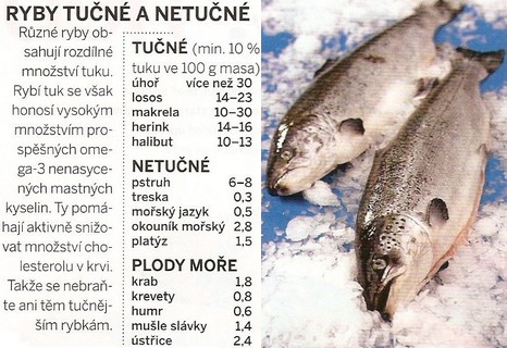 Tučné a netučné ryby