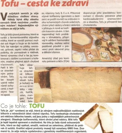 Tofu - cesta ke zdraví